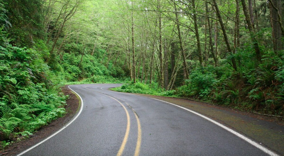 La Road Map della Sostenibilità