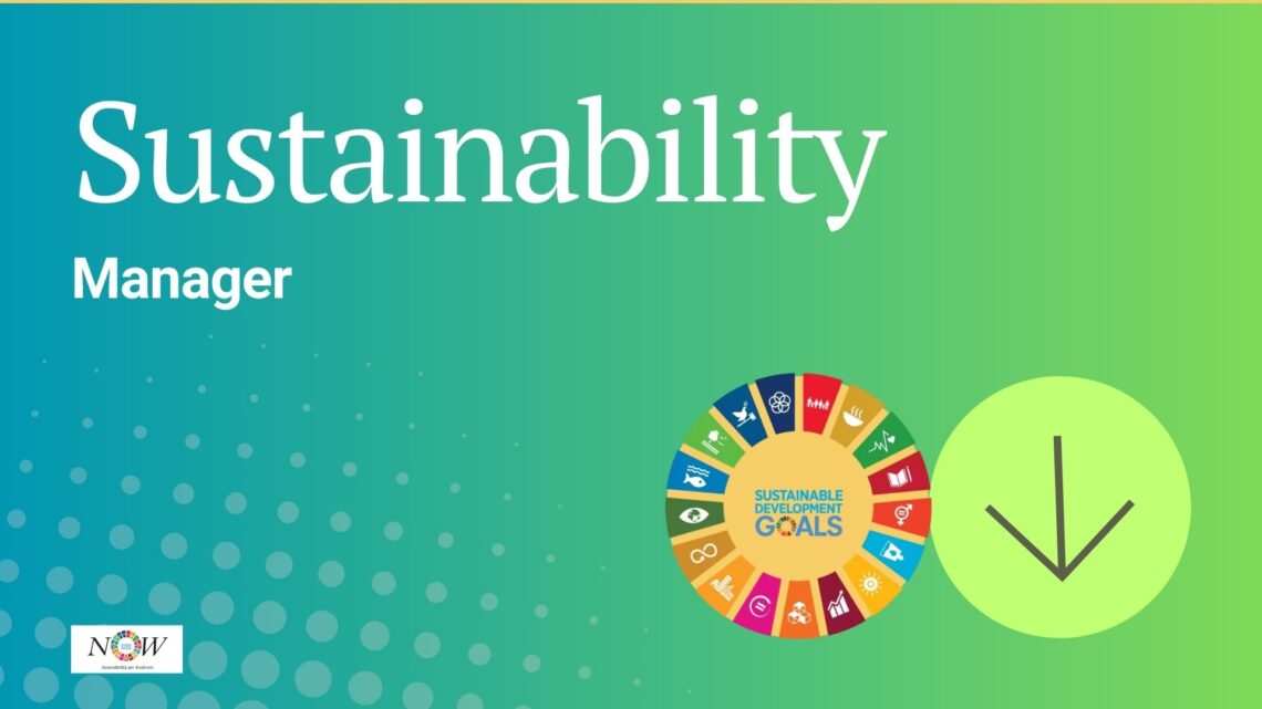 Sustainability Manager Policies Professional Style
